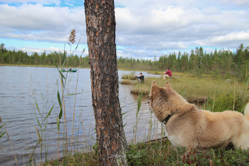 pêche sur un lac en laponie suédoise