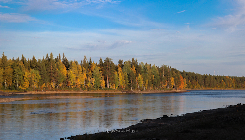 la rivière À côte de la maison - laponie suédoise en automne