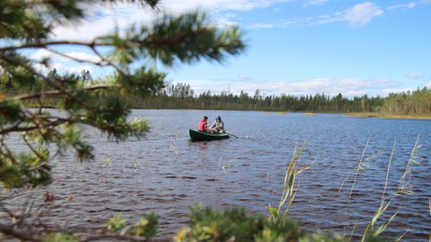 lac en été laponie suédoise