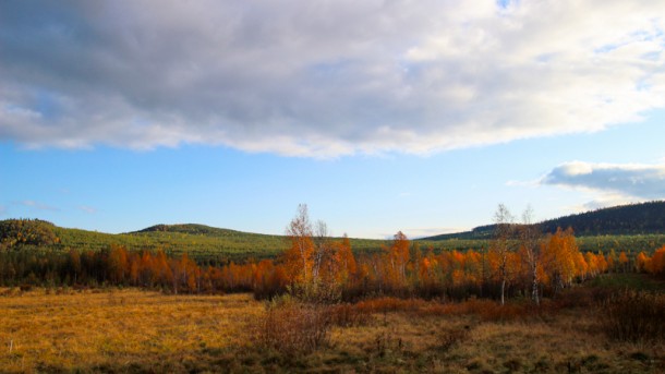 vue de la maison en automne - laponie suédoise