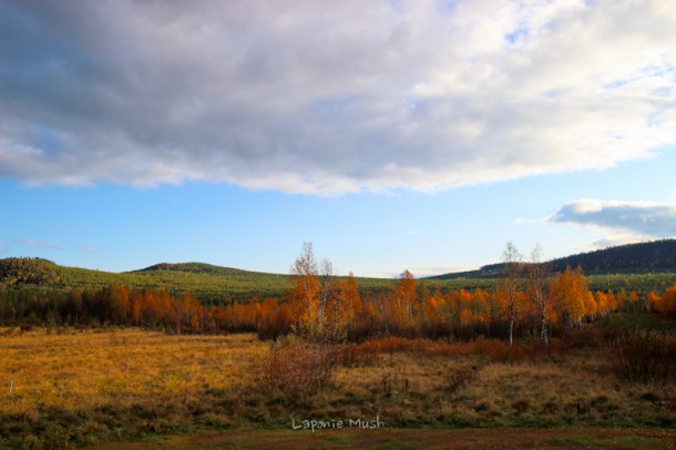 vue de la maison en automne - laponie suédoise