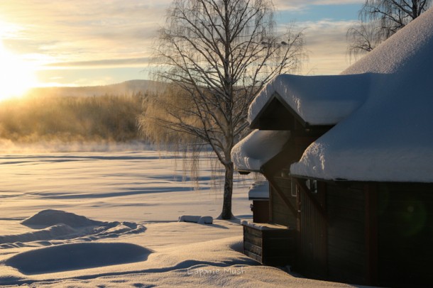 les rapides de storforsen en Janvier