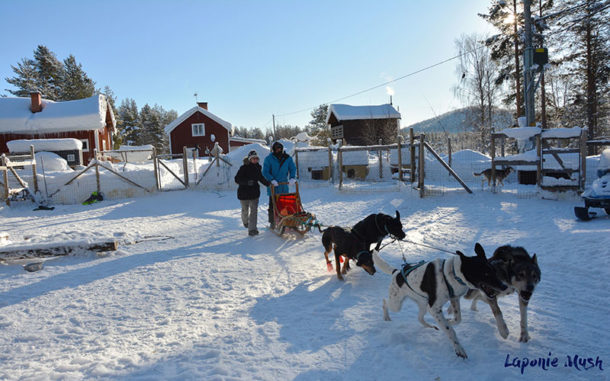 depart-attelage-chenil-chien-traineau-laponie-sejour-voyage