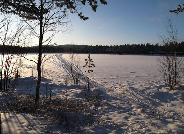 laponie-chien-traineau-hiver-sejour-bord-lac