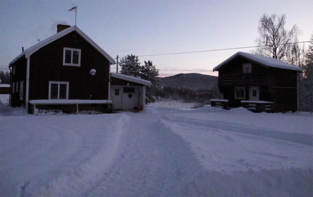 laponie-chien-traineau-hiver-sejour-neige