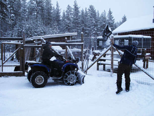 laponie-chien-traineau-sejour-hiver-deneigement-hiver