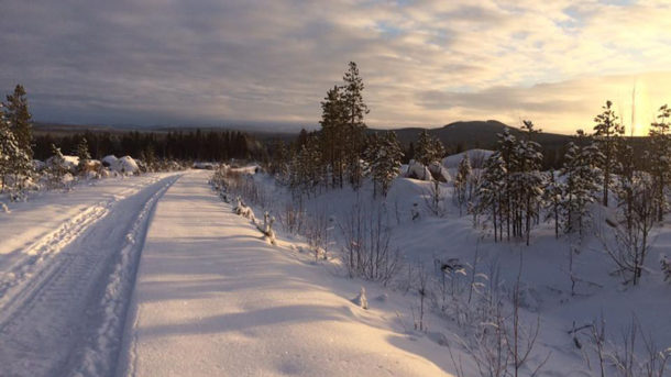 laponie-chien-traineau-sejour-hiver-tracage-piste-soleil