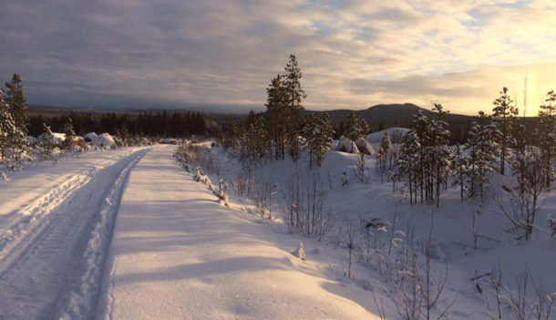 laponie-chien-traineau-sejour-hiver-tracage-piste-soleil