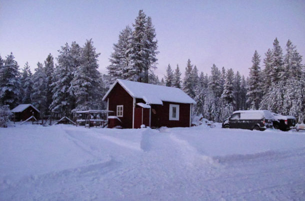 laponie-hiver-chien-traineau-sejour-neige