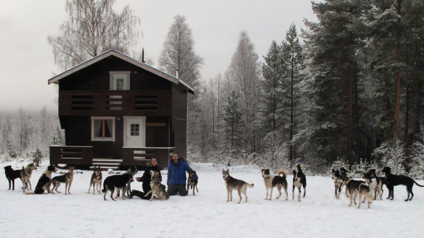 laponie-mush-sejour-laponie-suedoise-chien-traineau-premiere-neige