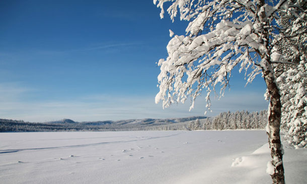 laponie-paysage-lac-sejour-hiver-chien-traineau-suede