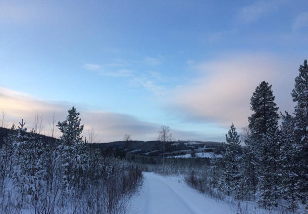 laponie-sejour-chien-traineau-hiver-piste