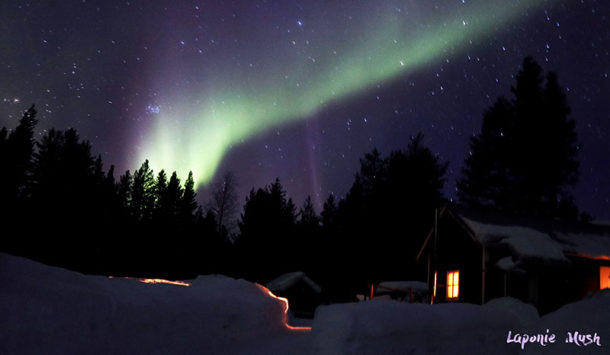 laponie-sejour-hiver-aurore-boreale-chien-traineau