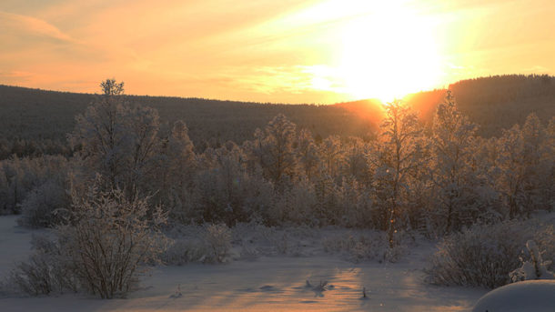 laponie-sejour-hiver-suede-soleil-chien-traineau