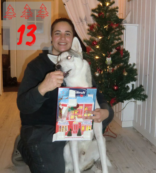 laponie-sejour-suede-chien-traineau-calendrier-activites