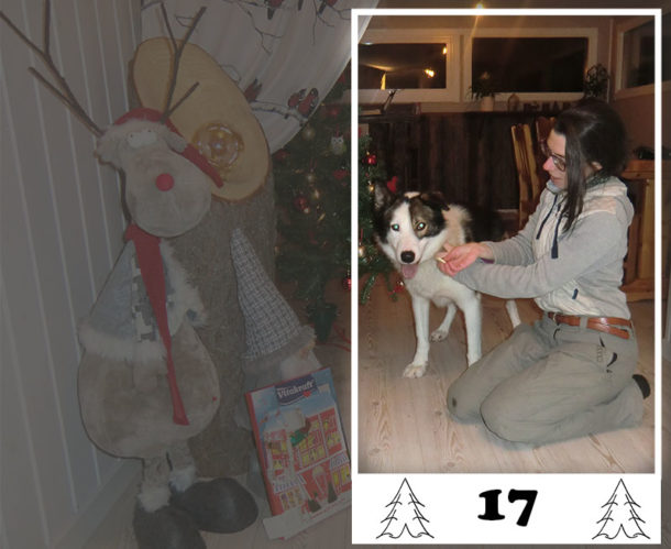 laponie-suede-chien-traineau-sejour-calendrier