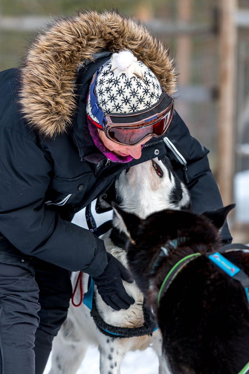 laponie suedoise sejour hiver chien de traineau retour randonnee