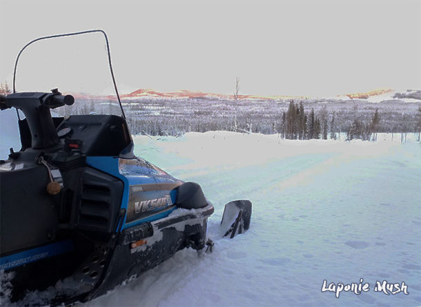 laponie-chien-traineau-sejour-tracage-piste-motoneige-suede-hiver-ouverture