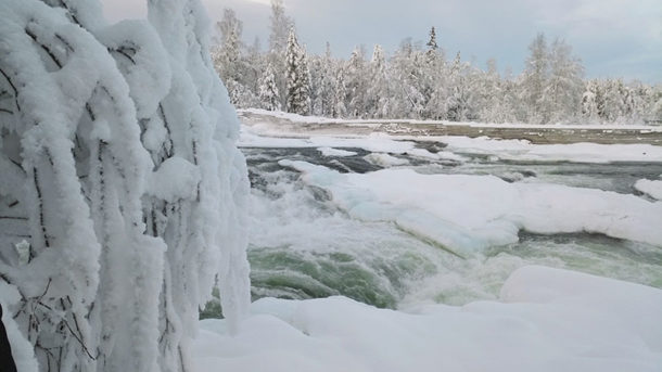 laponie-sejour-chien-traineau-paysage-riviere-gelee-suede-blanc