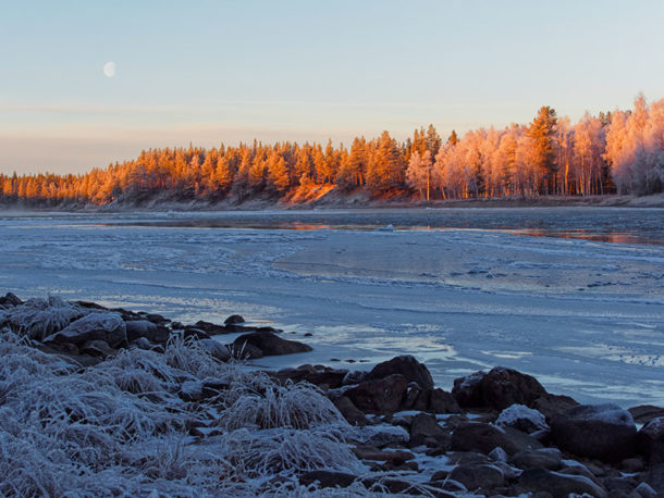 Suède : vacances insolites et séjour chien de traineau en Laponie Suédoise, venir se ressourcer en bord de rivière et admirer le paysage de la rivière gelée et du coucher de soleil sur les sapins