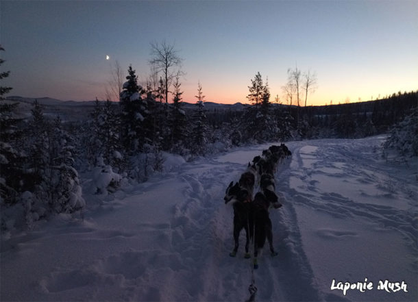 En Laponie Suédoise, dès l'arrivée des premières neiges, on sort le traineau pour l'entrainement des chiens sous un magnifique coucher de soleil