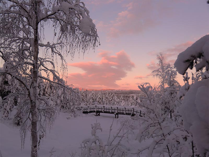 au nord de la suede paysage de laponie par grand froid d'hiver