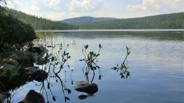 nature-bord-lac-peche-sejour-ete-calme-detente-zen