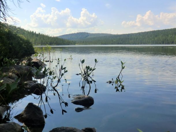 nature-bord-lac-peche-sejour-ete-calme-detente-zen