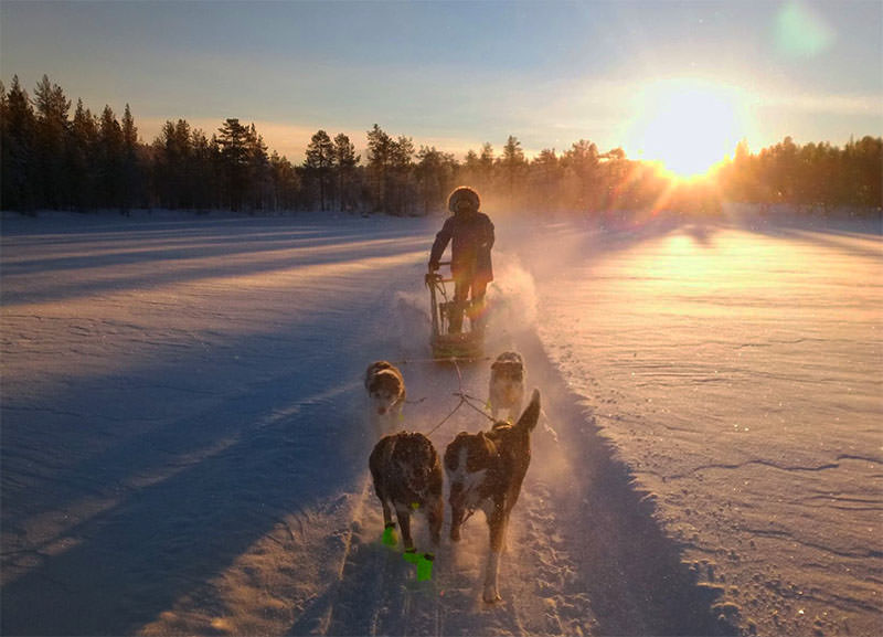 Traversée du lac gelé en chien de trianeau pendant un sejour d'hiver en Laponie Suédoise