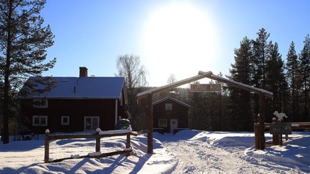 laponie mush sous le soleil d'hiver en laponie suédoise