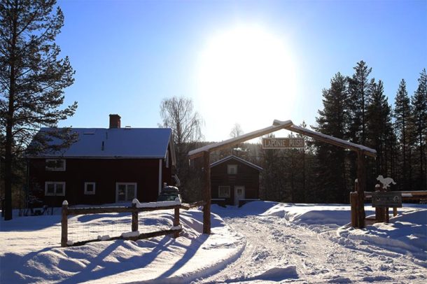 laponie mush sous le soleil d'hiver en laponie suédoise
