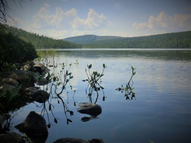 nature-bord-lac-peche-sejour-ete-calme-detente-zen