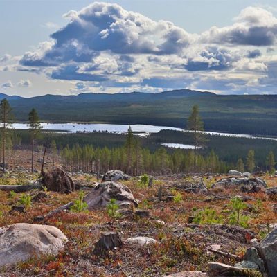 paysage point de vue sur lacs et panorama en laponie suédoise