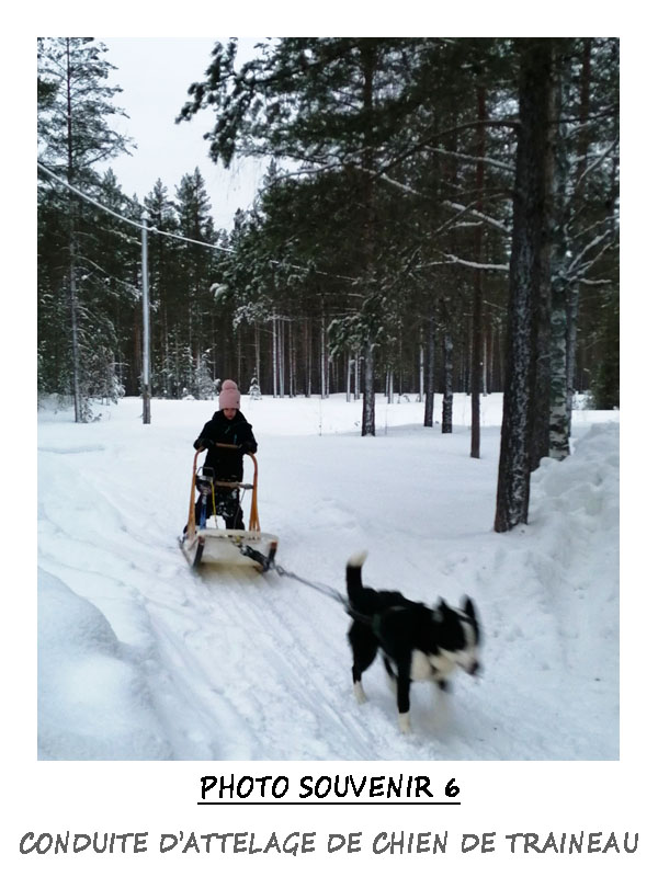 Conduite d'attelage de traîneau à chiens par les enfants