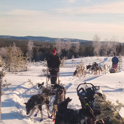 sejour d'hiver en laponie suedoise, randonnée en traineau à chiens sur les hauteurs