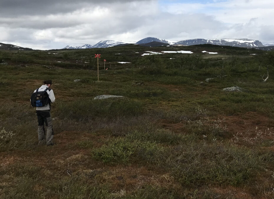 trekking kungsleden misommar